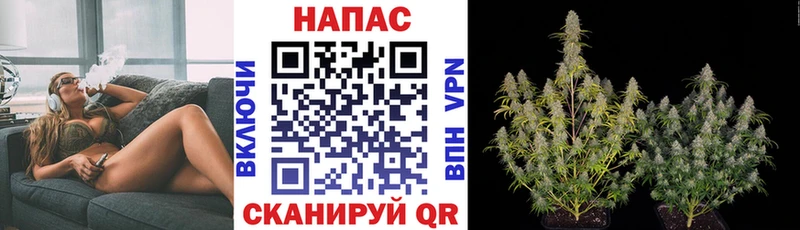 Где найти наркотики Челябинск Cocaine  Марихуана  NBOMe  Alpha PVP  ГАШИШ  МЕФ 