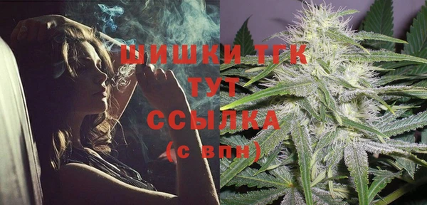 стаф Абаза
