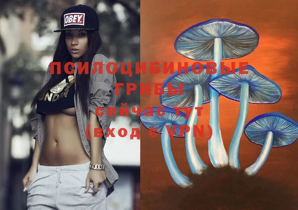 каннабис Алексин