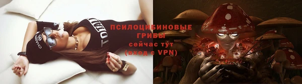 стаф Абаза