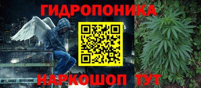 молекула духа Пугачёв