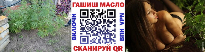 мега вход сколько стоит Челябинск ТГК THC oil