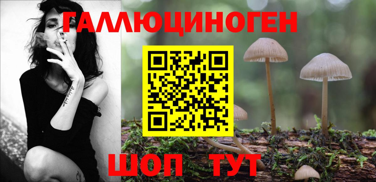 Псилоцибиновые грибы MAGIC MUSHROOMS  Вход с VPN  Челябинск  Псилоцибиновые грибы ЛСД 